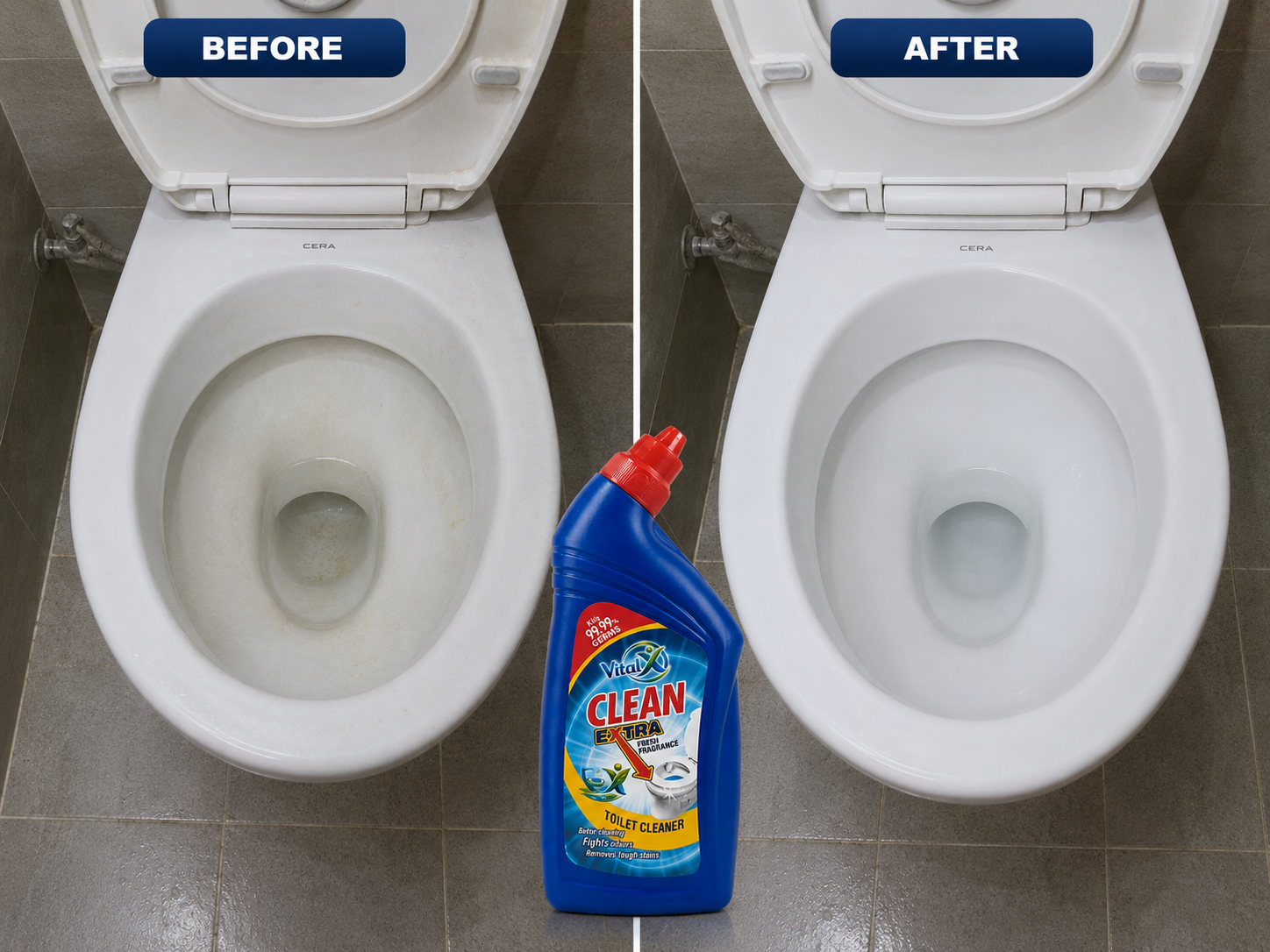 Toilet before cleaning